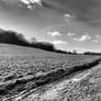 Rocky path in the winter countryside II