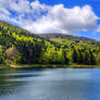 Lake Lauch panorama (Vosges mountains)