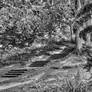 Stone steps in the woods