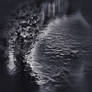 Distortion of stillness II
