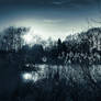 Twilight Rhapsody in Blue