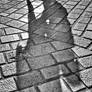 Shadows on Cobblestone