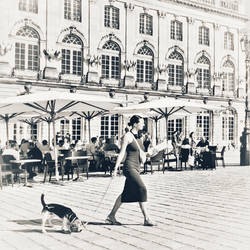 Crossing Stanislas Square IX