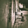 Old town architectural geometry