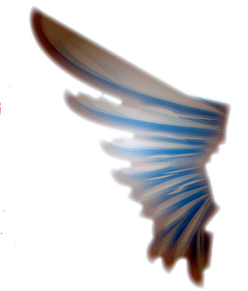 Fallen Angel wing by chirodevil on DeviantArt