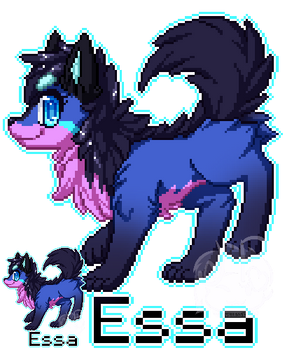 Pixel Badge: Essa