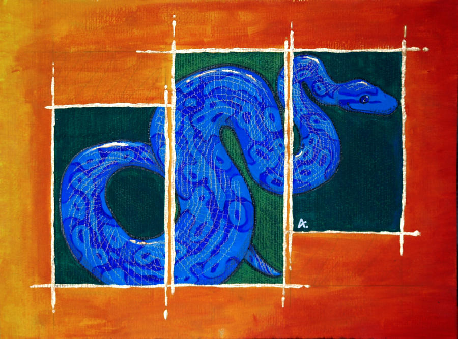 Bold Ball Python by AimOfDestiny on DeviantArt