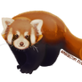 Study: Red Panda