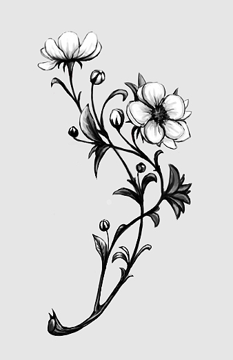 Apple Blossom Tattoo By Curlyhair On Deviantart