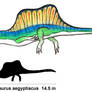 Spinosaurus aegyptiacus Male