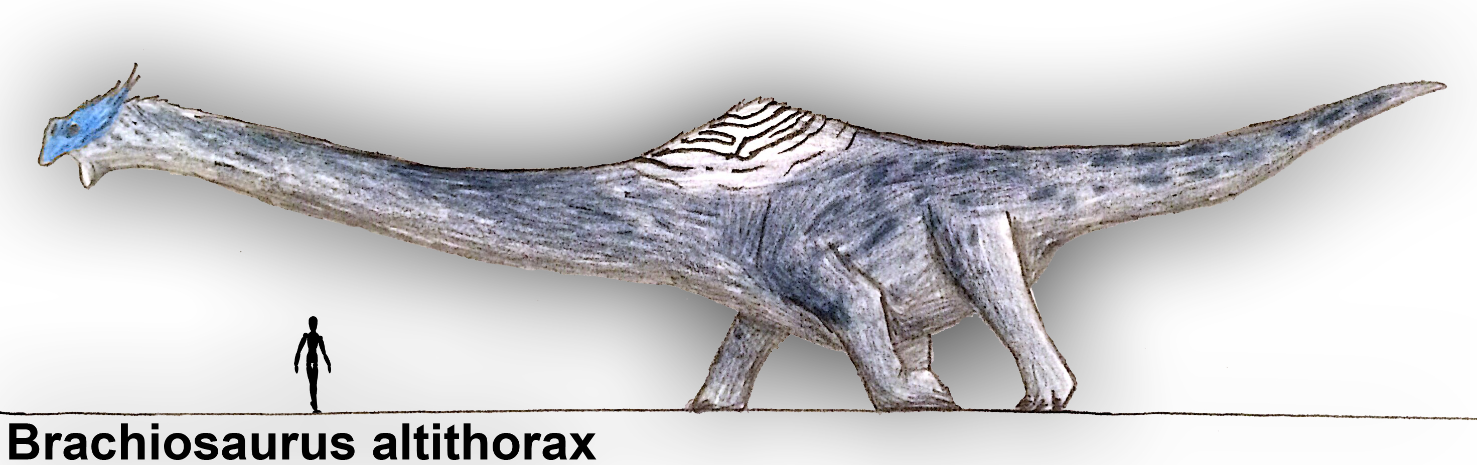 Brachiosaurus altithorax by PLASTOSPLEEN on DeviantArt