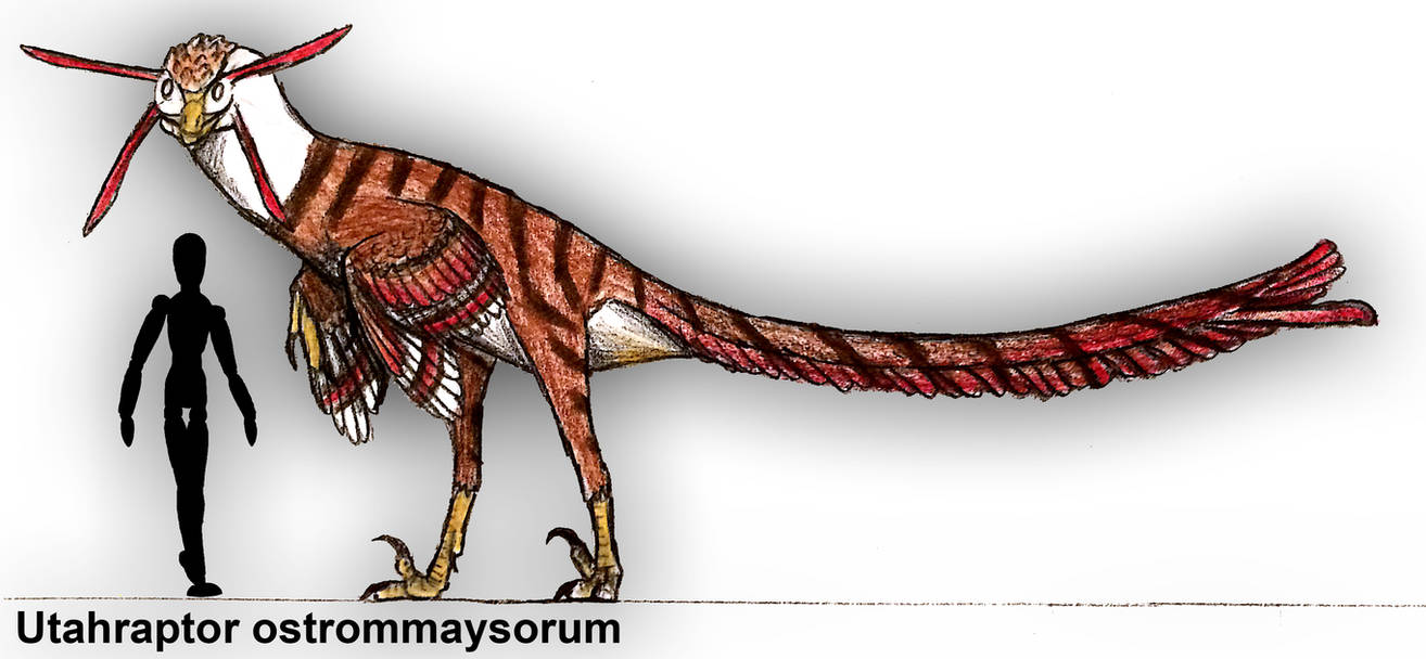 Utaraptor Utahraptor ostrommaysorum by PLASTOSPLEEN on DeviantArt