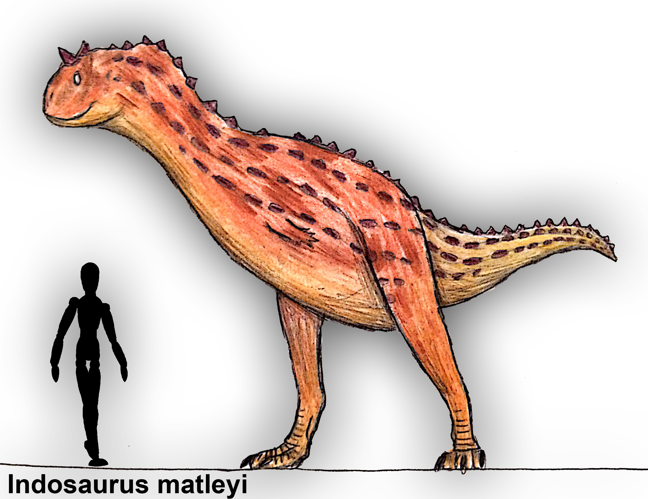 Inediosaurus Indosaurus matleyi by PLASTOSPLEEN on DeviantArt