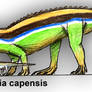 Euparkeria capensis