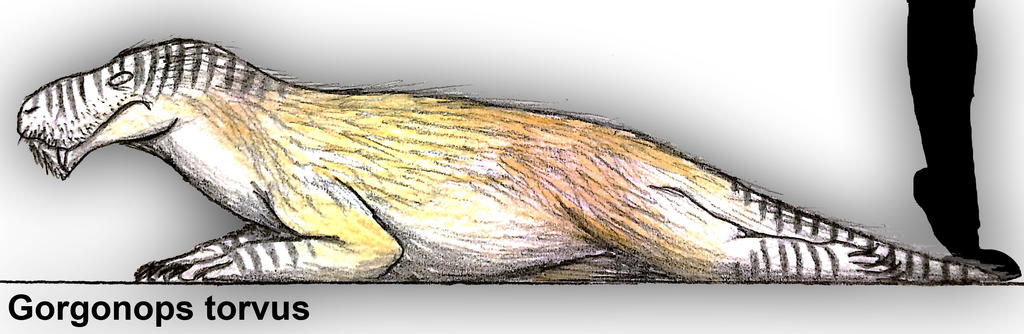 Gorgonops torvus by PLASTOSPLEEN on DeviantArt