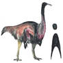 Dinovember Day 5 - Ornithomimus velox