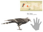 Rock Raven by PLASTOSPLEEN