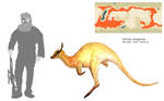 Yellow Kangaroo by PLASTOSPLEEN