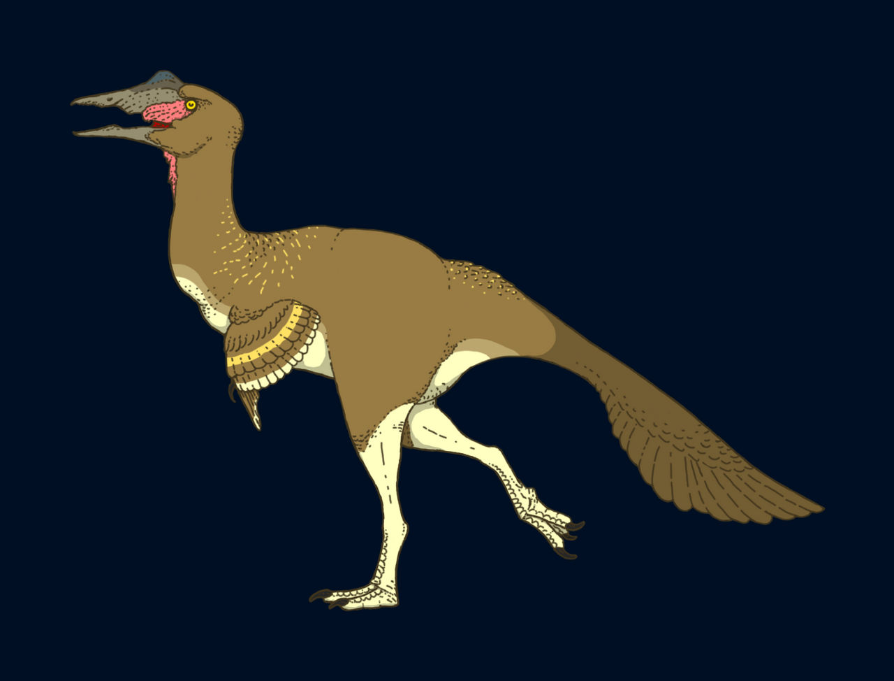 East African Neoviraptor by PLASTOSPLEEN on DeviantArt