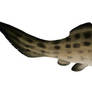 TTDPC 4: Favourite Devonian Animal