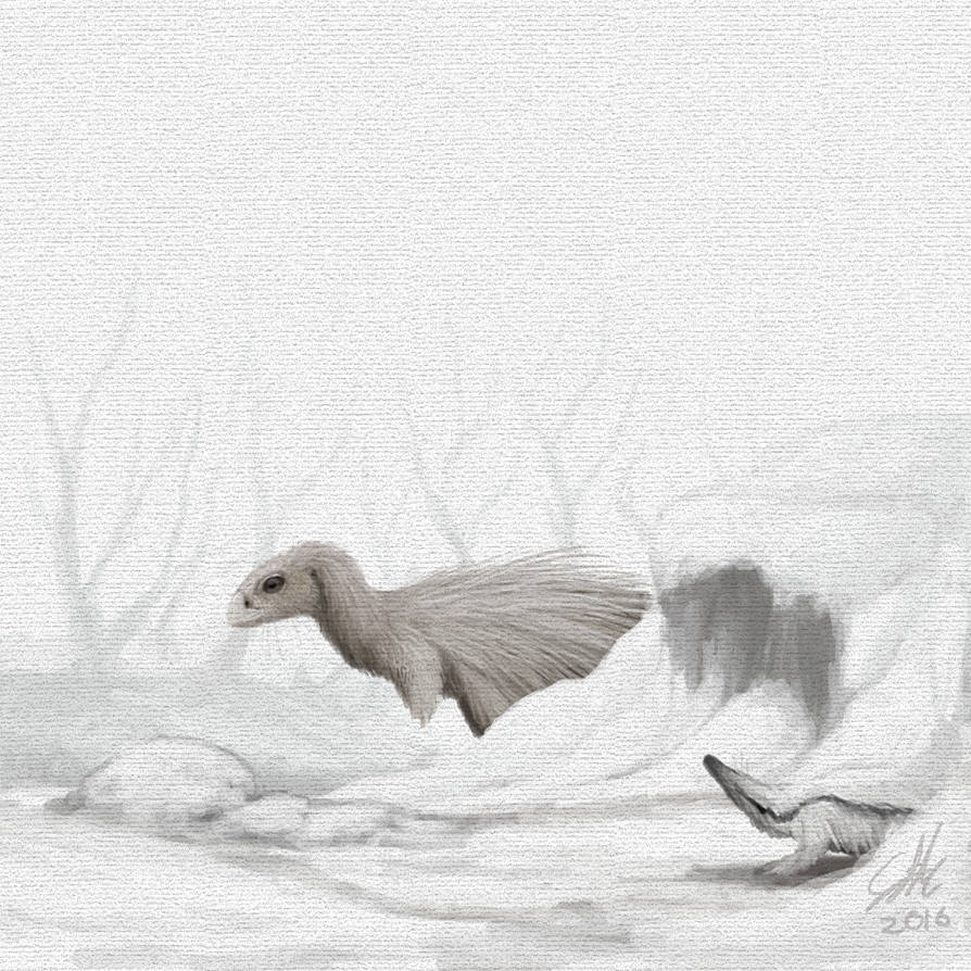 Qantassaurus intrepidus by PLASTOSPLEEN on DeviantArt