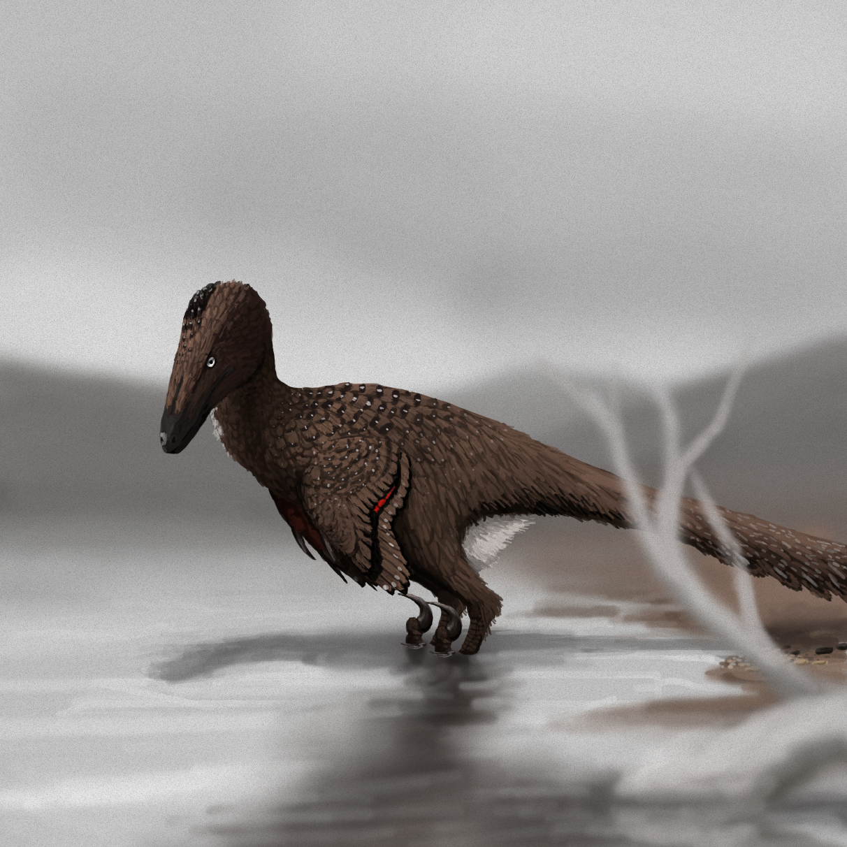 Gynandromorphic Deinonychus