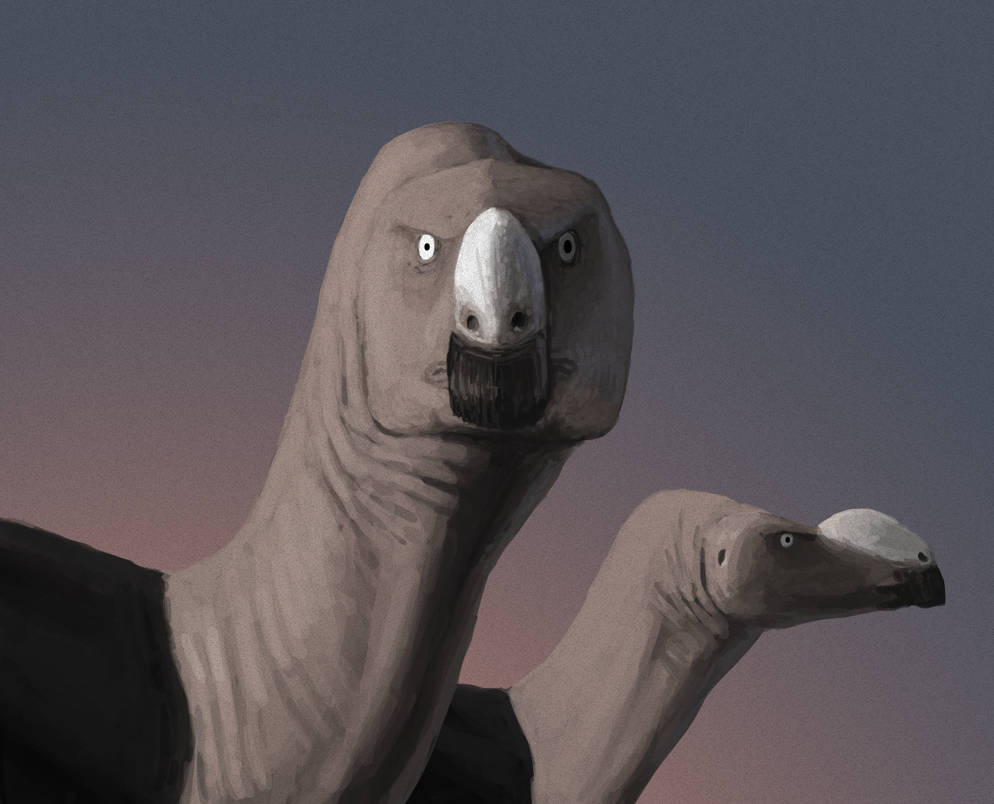 Muttataurus Muttaburrasaurus From the Front by PLASTOSPLEEN on DeviantArt