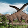 Camarasaurus Battle