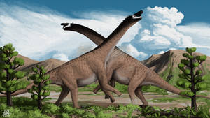 Camarasaurus Battle
