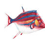 Scalacurvichthys naishi mk. 2
