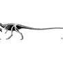 ''Leaellynasaura'' sp. Skeletal