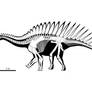 Miragaia longicollum Skeletal