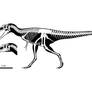 Qianzhousaurus sinensis Skeletal
