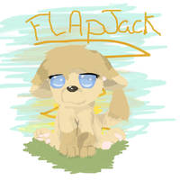 Flapjack