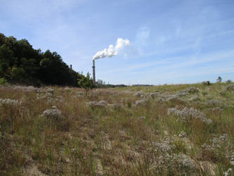 Indiana Dunes