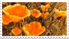 _stamp__yellow_aesthetic_13_by_cobrastam