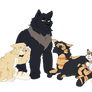 Warrior cat characters