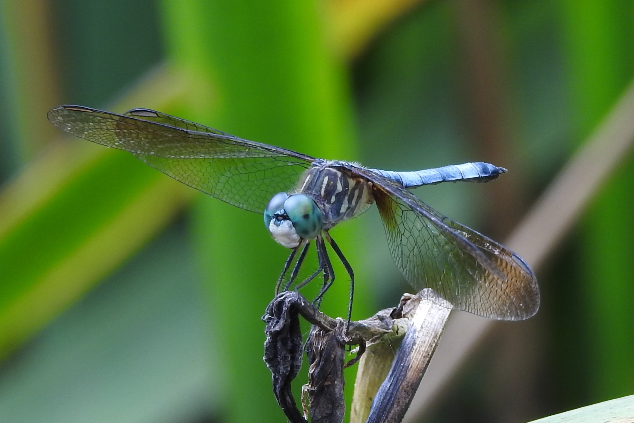 Preparation For Flight