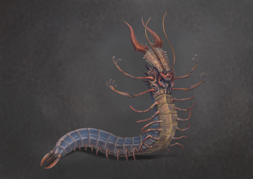 Reptile Insectoid Centipede - insectoid concept 01 by Antarondol on DeviantArt