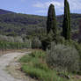 tuscan landscape 2