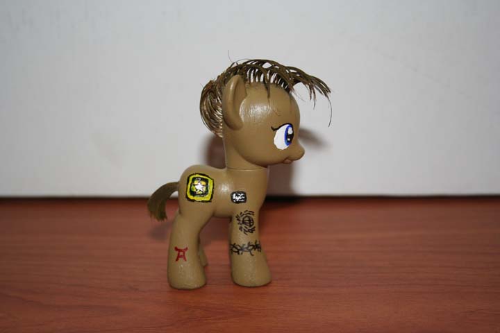 Willever Pony Custom Right Side