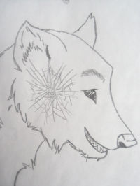 Wolf :3