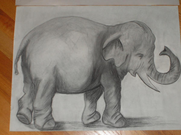 Elephant