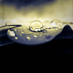automne in town by baspunk