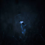 dans le silence by baspunk