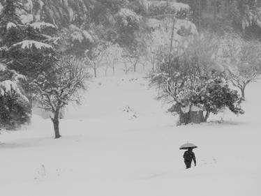 Walking under the Snow 01