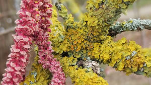 Img 20260314 110641493