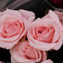 Img 20260314 112412706