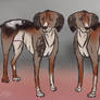 Hound Design