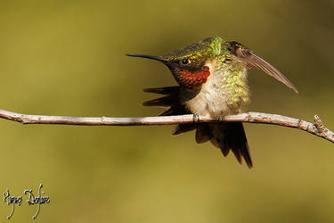 Yoga by Robin-Hugh